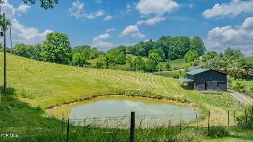 Pond